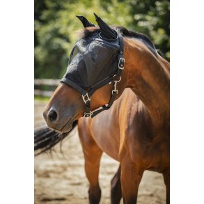 HG Insektgrime med net