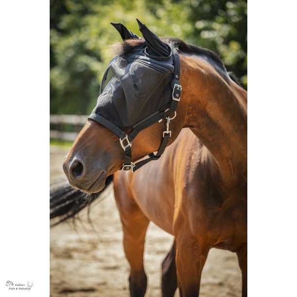 HG Insektgrime med net