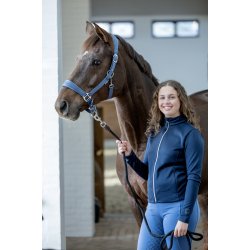 HG Diya 2,0 Grime, Dutch Blue