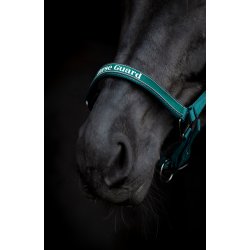 HG Sandra Grime, Grn