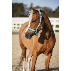 HG Malva Grime, Aruba Blue