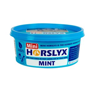 HorsLyx Mini - Mint