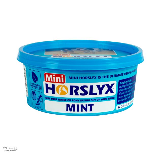HorsLyx Mini - Mint