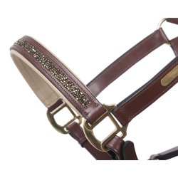 QHP Lupin Ldergrime, Brun