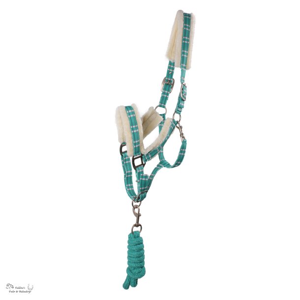 QHP Grime med tr�ktov