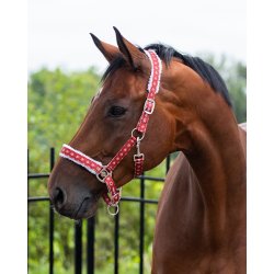 Grime med plys og julemnster