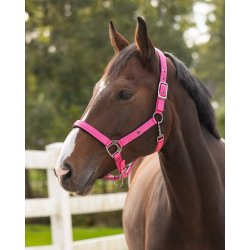 QHP Deluxe Grime, Pink