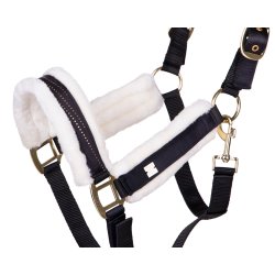 QHP Menton Grime, Sort