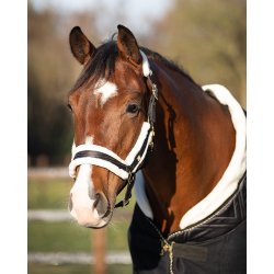 QHP Menton Grime, Sort