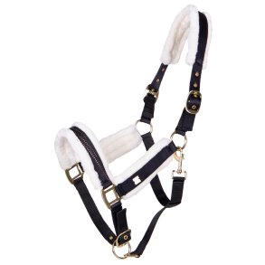 QHP Menton Grime, Sort