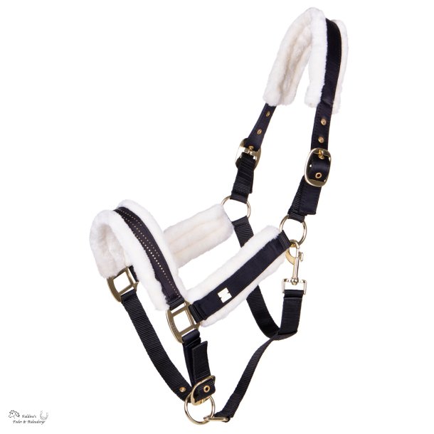 QHP Menton Grime, Sort