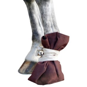 Behandlingsko til hest