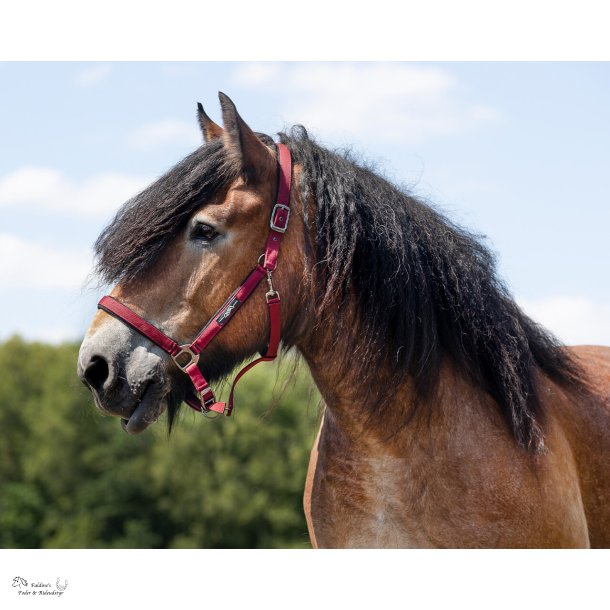 Grime Deluxe, XX-Full til koldblodsracer, Burgundy