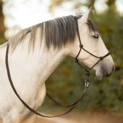 Rebgrime i l�der, Brun