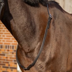 L�der Cordeo, Sort