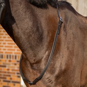 L�der Cordeo, Sort