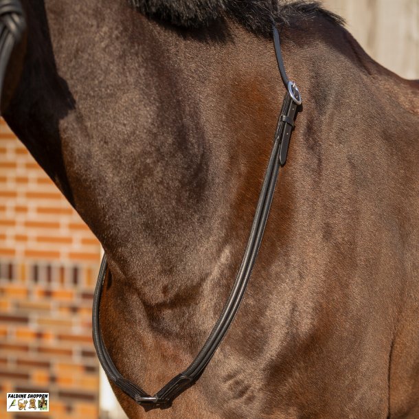 L�der Cordeo, Sort