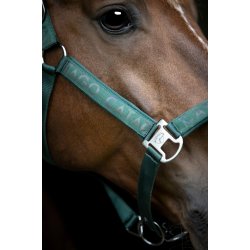 CATAGO Alea Reflekterende Logo Grime