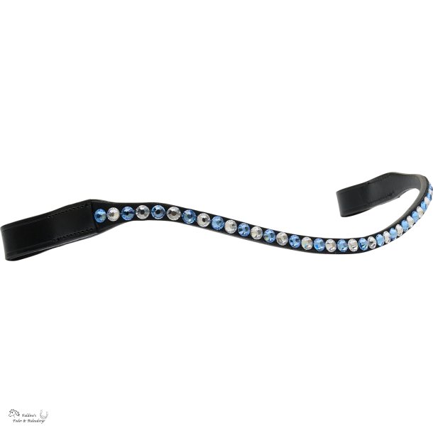 HG Pandeb�nd, Dutch Blue