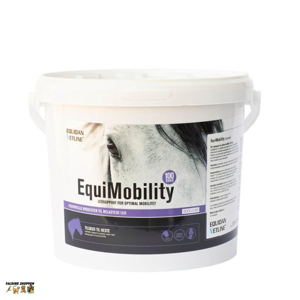 EquiMobility 100 dage