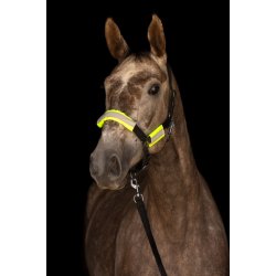 Refleks st til grime/trense