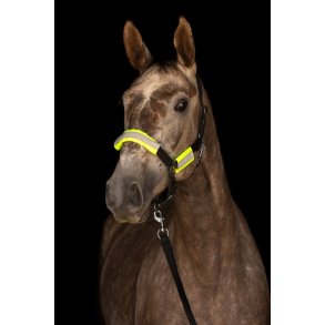 Refleks st til grime/trense