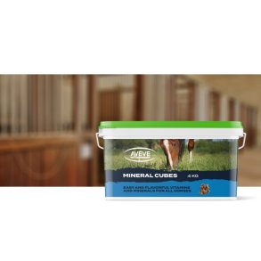 AVEVE Mineral Cubes, 4 kg
