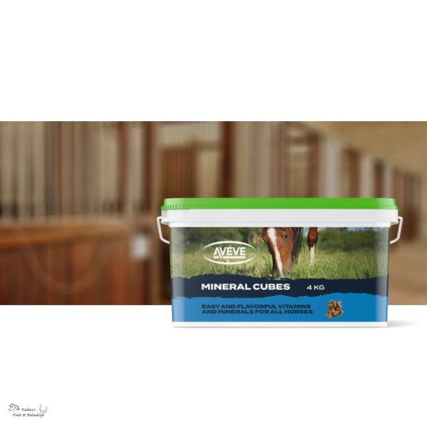 AVEVE Mineral Cubes, 4 kg