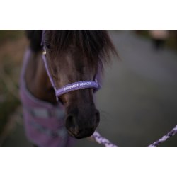 HG Nylon Grime, Lilla