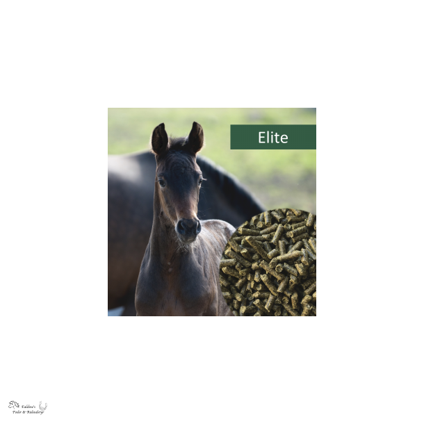 HorsePro Elite, 20 kg