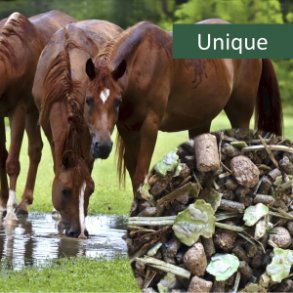HorsePro Unique, 20 kg