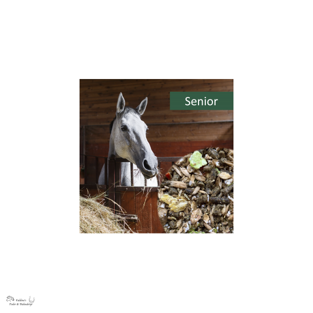 HorsePro Senior, 20 kg