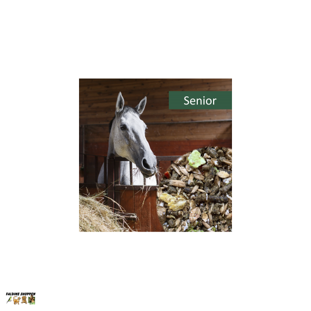 HorsePro Senior