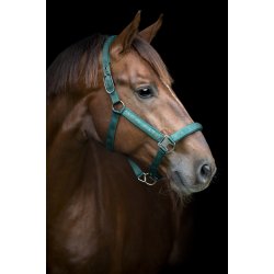 CATAGO Alea Reflekterende Logo Grime