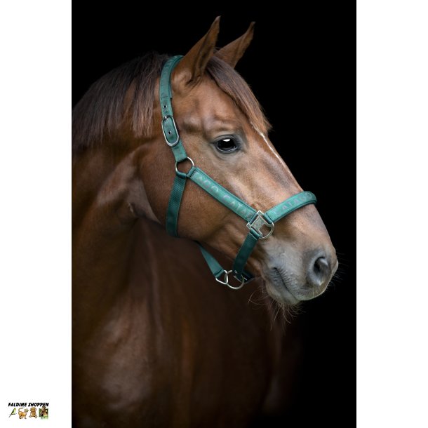 CATAGO Alea Reflekterende Logo Grime