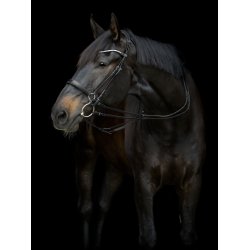 CATAGO Gentle Kindstykker