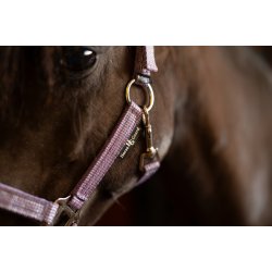 HG Mascha Grime, Lilla