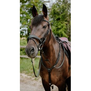 Norton Distance/Endurance Trense