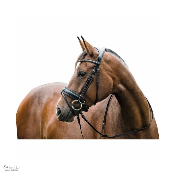 HG Ergonomisk Trense