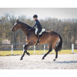 QHP Soft Bareback Pad