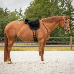 QHP Soft Bareback Pad, Sort