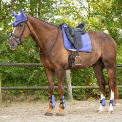 QHP Nyomi Underlag, DR