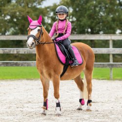 QHP Isalyn Underlag, Dressur
