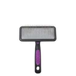 KW Smart Bld Carde, Large