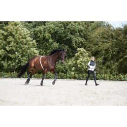 HG Soft Longeringshjlp