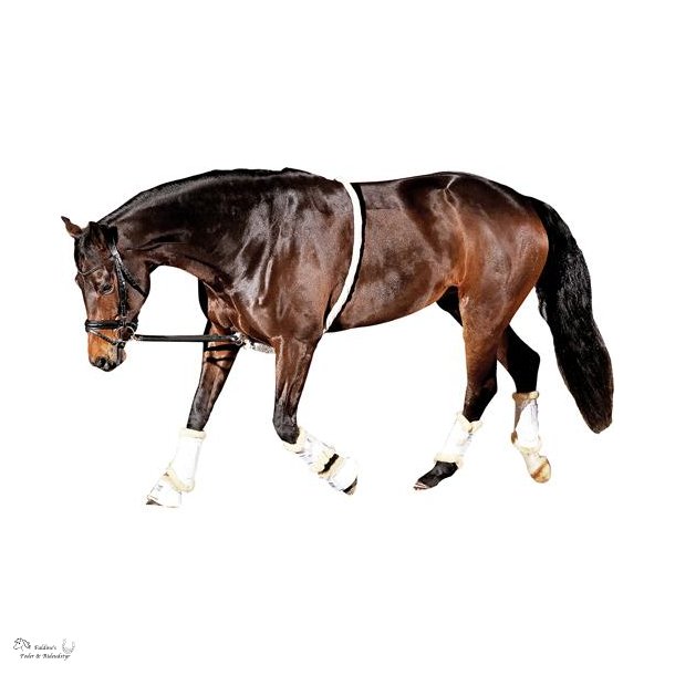 HG Soft Longeringshj�lp