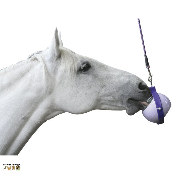 LIKIT "Boredom Buster" holder