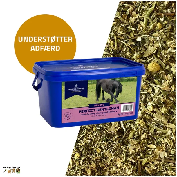 D&H Perfect Gentleman, 1 kg, DATOVARE