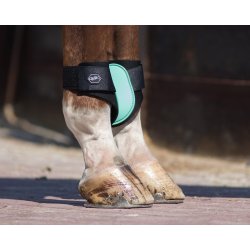 QHP Bagbensgamache, Ice Green