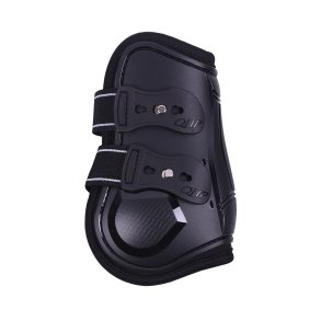 QHP Champion Bagbensgamache